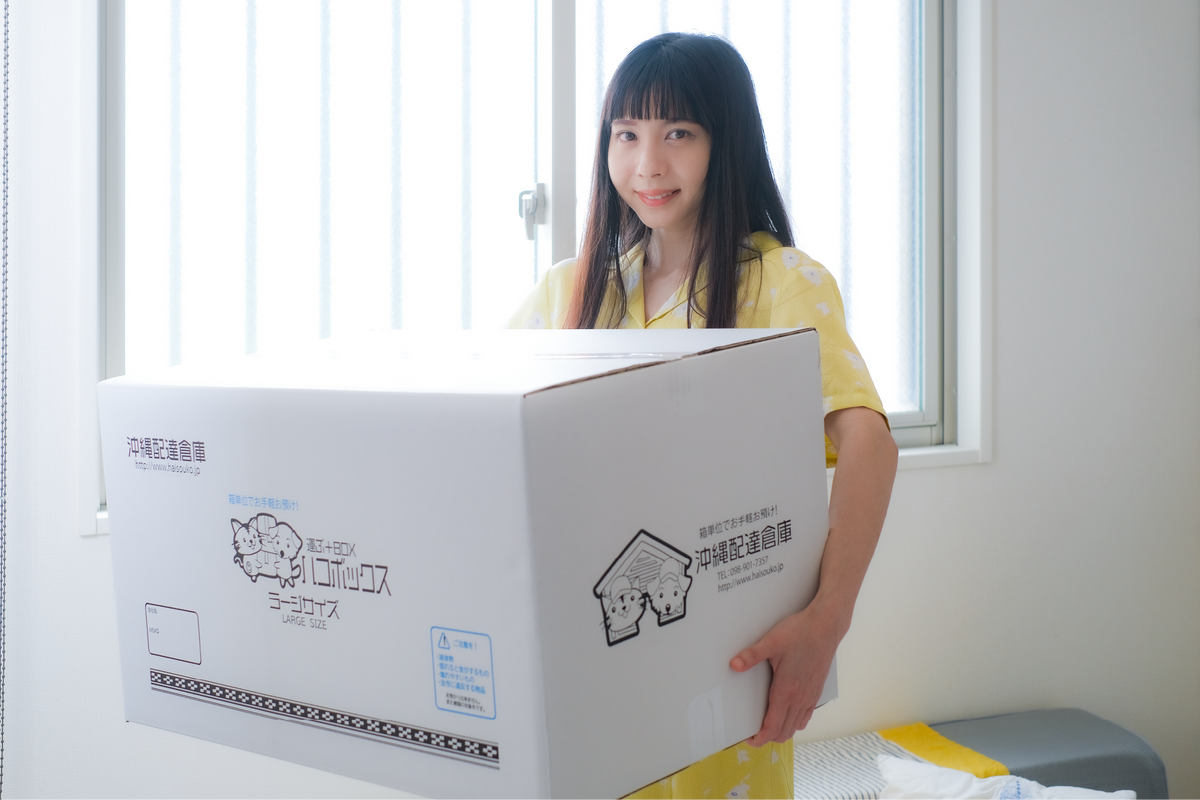 ハコボックス ラージ（大）